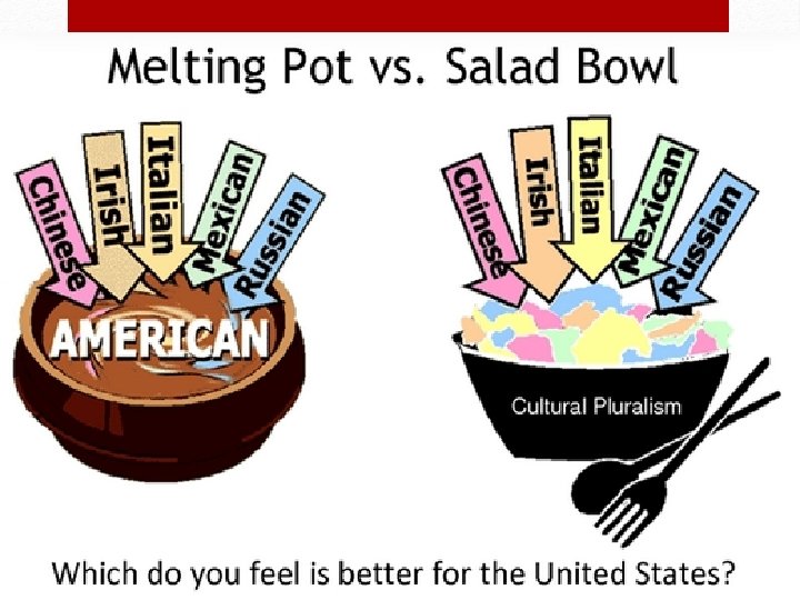 Melting pot or Salad Bowl? ? ? 