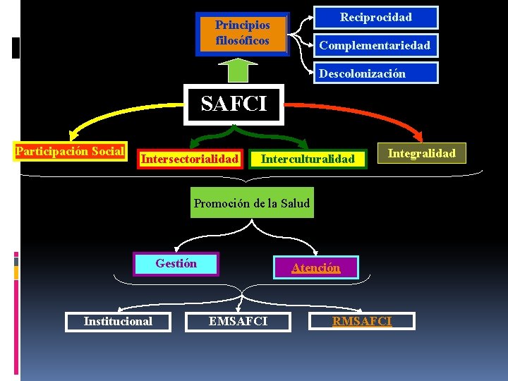 Reciprocidad Principios filosóficos Complementariedad Descolonización SAFCI Participación Social Intersectorialidad Interculturalidad Integralidad Promoción de la