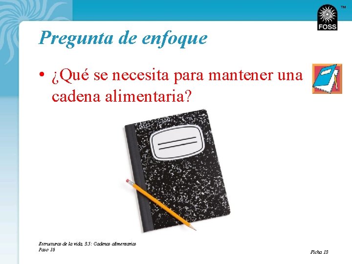 TM Pregunta de enfoque • ¿Qué se necesita para mantener una cadena alimentaria? Estructuras