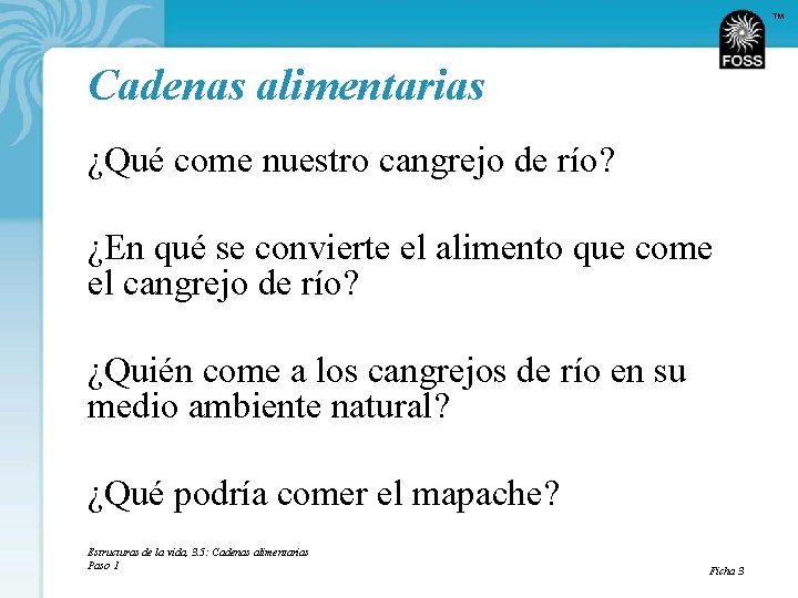 TM Cadenas alimentarias ¿Qué come nuestro cangrejo de río? ¿En qué se convierte el