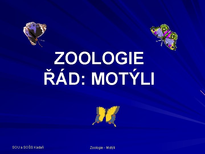 ZOOLOGIE ŘÁD: MOTÝLI SOU a SOŠS Kadaň Zoologie - Motýli 