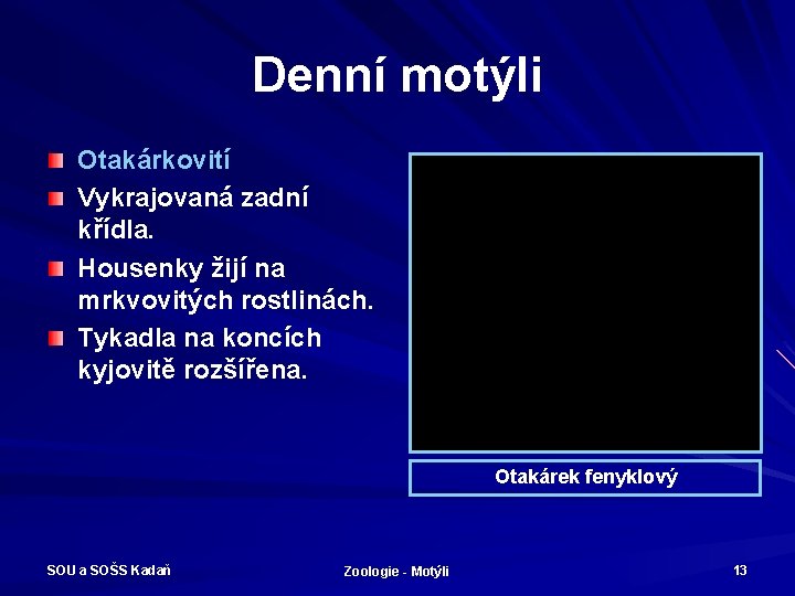 Denní motýli Otakárkovití Vykrajovaná zadní křídla. Housenky žijí na mrkvovitých rostlinách. Tykadla na koncích