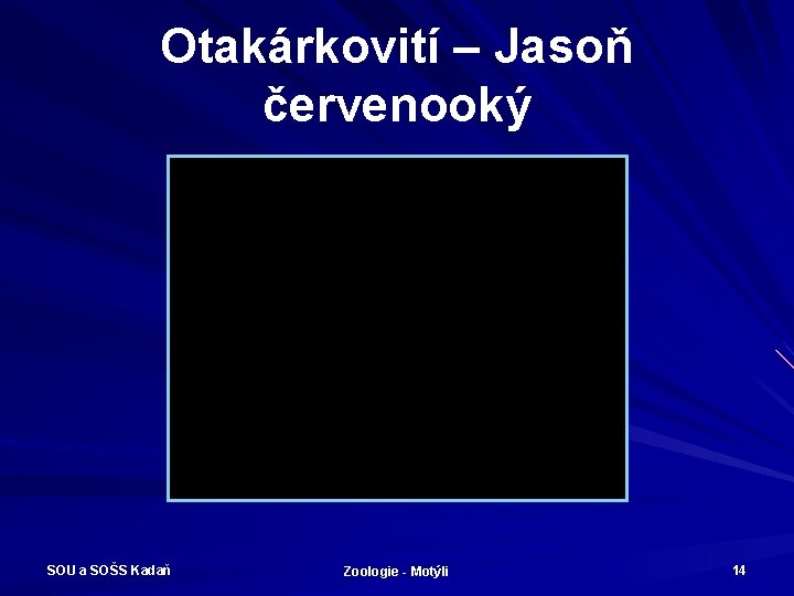 Otakárkovití – Jasoň červenooký SOU a SOŠS Kadaň Zoologie - Motýli 14 