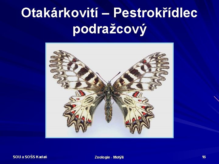 Otakárkovití – Pestrokřídlec podražcový SOU a SOŠS Kadaň Zoologie - Motýli 16 