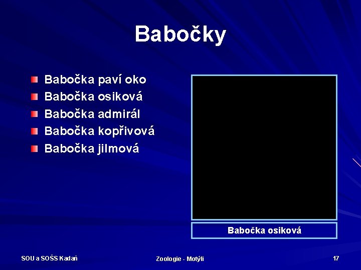 Babočky Babočka paví oko Babočka osiková Babočka admirál Babočka kopřivová Babočka jilmová Babočka osiková