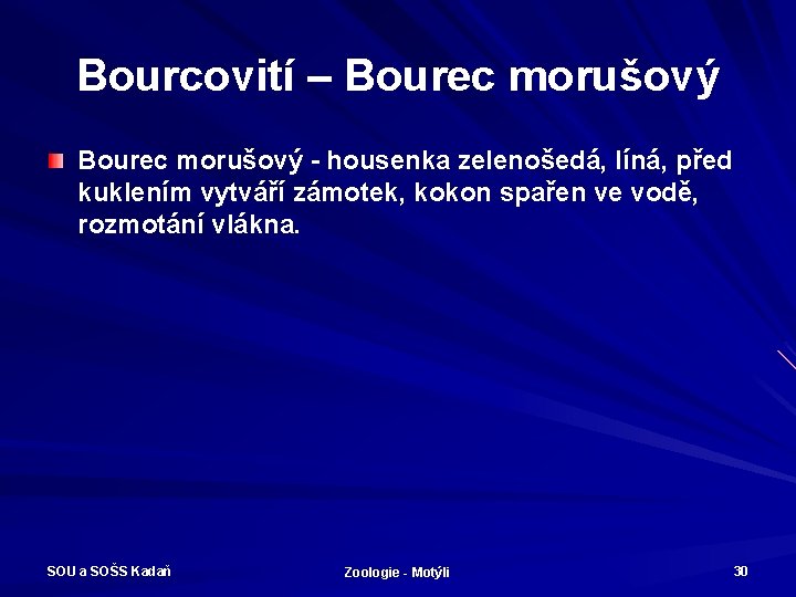 Bourcovití – Bourec morušový - housenka zelenošedá, líná, před kuklením vytváří zámotek, kokon spařen