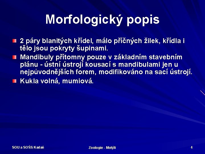 Morfologický popis 2 páry blanitých křídel, málo příčných žilek, křídla i tělo jsou pokryty