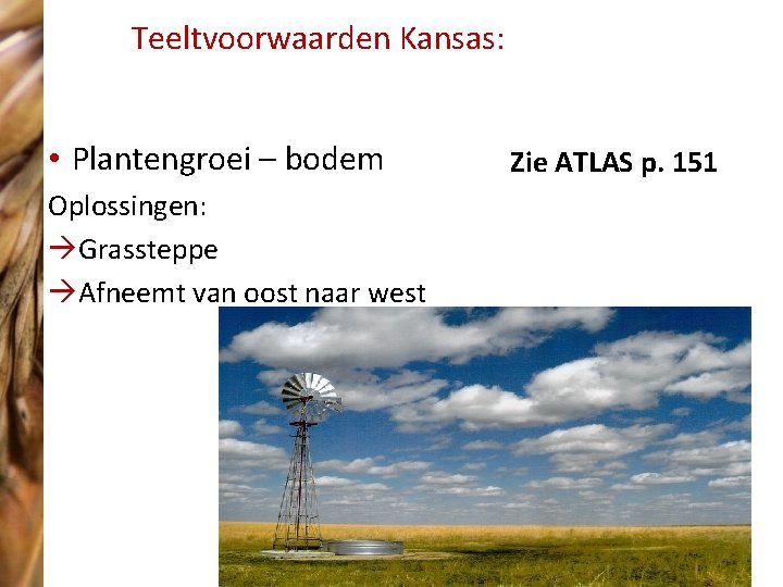 Teeltvoorwaarden Kansas: • Plantengroei – bodem Oplossingen: àGrassteppe àAfneemt van oost naar west Zie