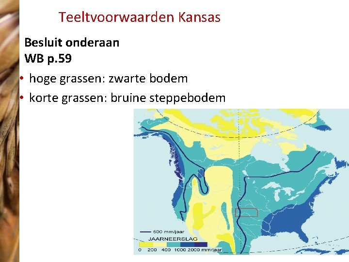 Teeltvoorwaarden Kansas Besluit onderaan WB p. 59 • hoge grassen: zwarte bodem • korte