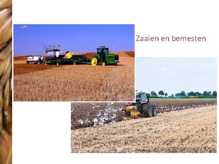 Zaaien en bemesten 