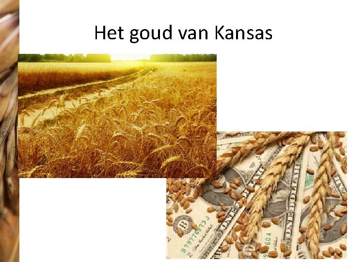 Het goud van Kansas 