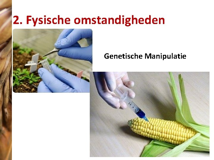 2. Fysische omstandigheden Genetische Manipulatie 