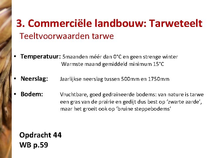 3. Commerciële landbouw: Tarweteelt Teeltvoorwaarden tarwe • Temperatuur: 5 maanden méér dan 0°C en