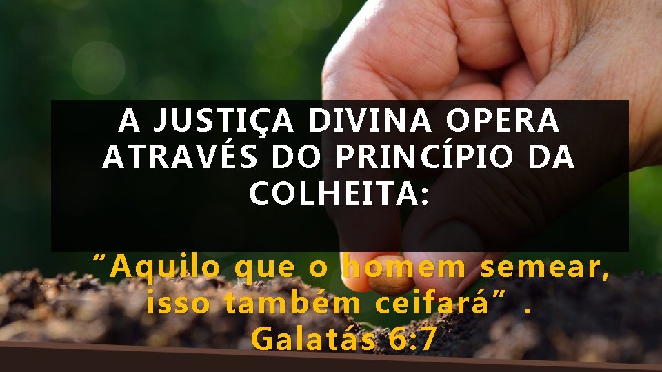 A JUSTIÇA DIVINA OPERA ATRAVÉS DO PRINCÍPIO DA COLHEITA: “Aquilo que o homem semear,