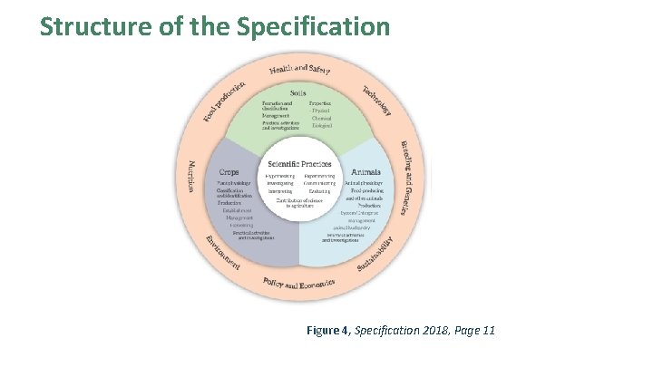 Structure of the Specification Cross-cutting Themes in Agricultural Science Figure 4, Specification 2018, Page