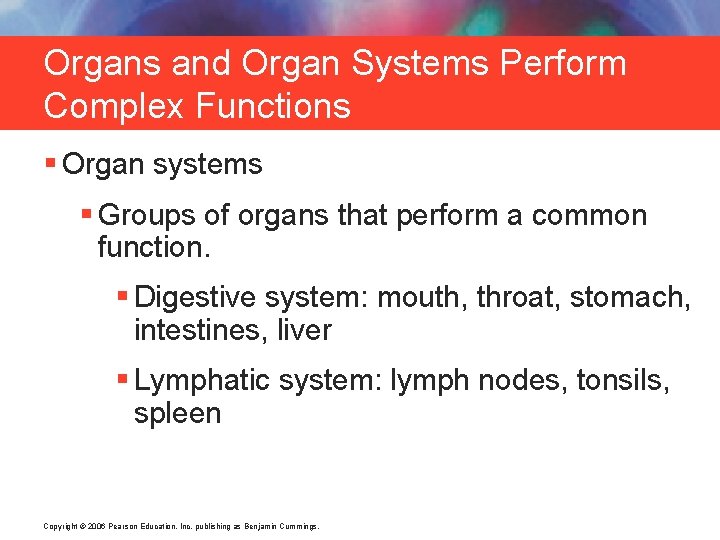Organs and Organ Systems Perform Complex Functions § Organ systems § Groups of organs