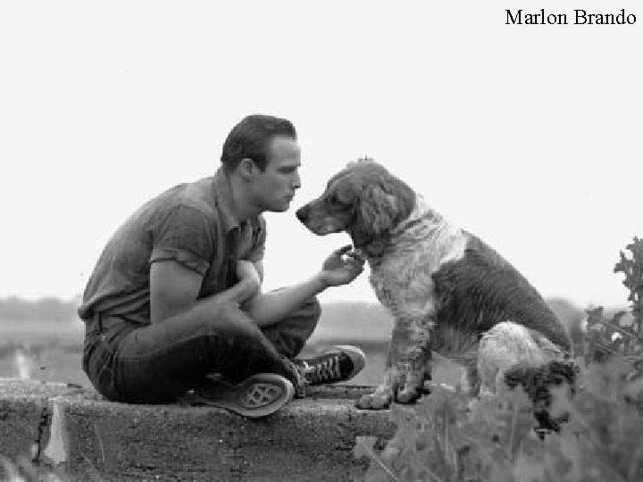 Marlon Brando 