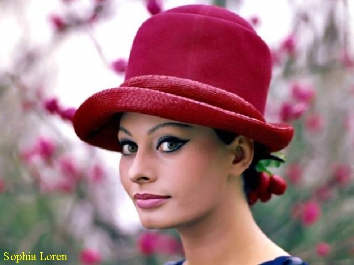 Sophia Loren 