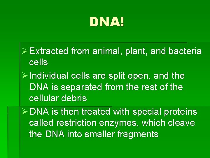 DNA! Ø Extracted from animal, plant, and bacteria cells Ø Individual cells are split