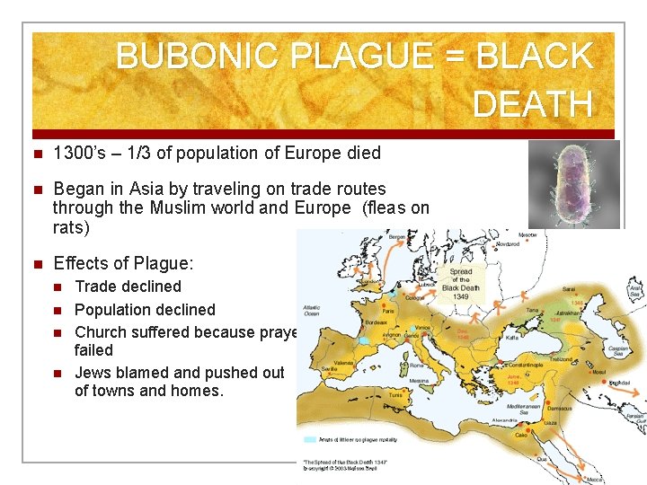 BUBONIC PLAGUE = BLACK DEATH n 1300’s – 1/3 of population of Europe died
