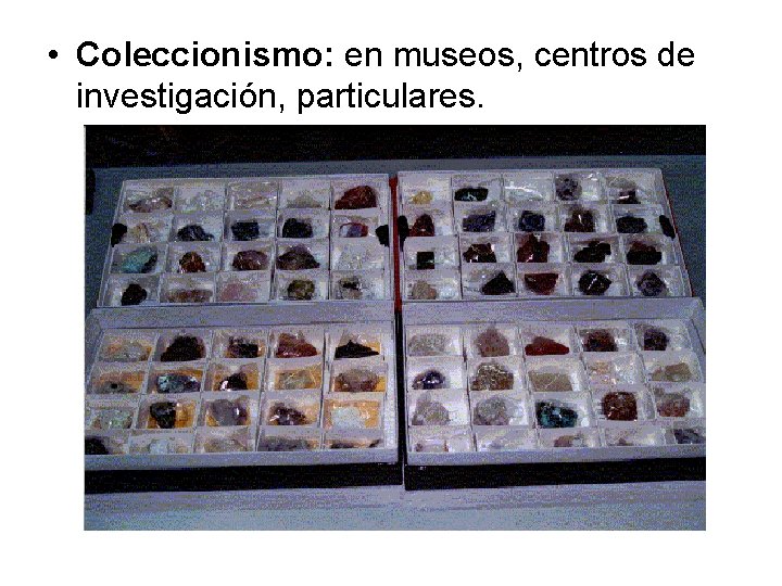  • Coleccionismo: en museos, centros de investigación, particulares. 