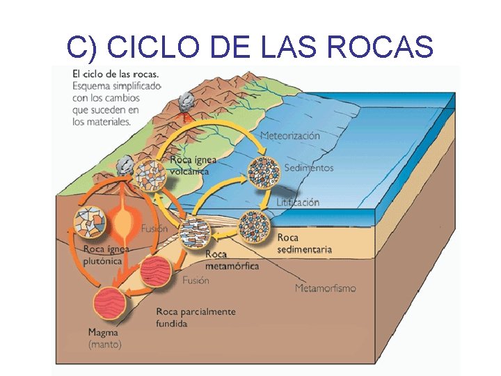 C) CICLO DE LAS ROCAS 