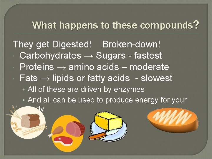 What happens to these compounds? They get Digested! Broken-down! Carbohydrates → Sugars - fastest