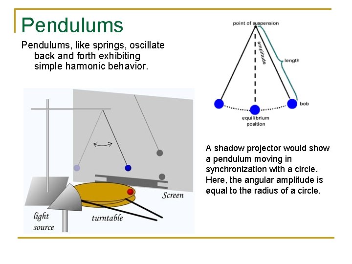 Pendulums, like springs, oscillate back and forth exhibiting simple harmonic behavior. A shadow projector