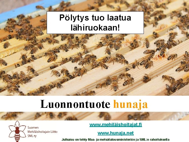 Pölytys tuo laatua lähiruokaan! Luonnontuote hunaja www. mehiläishoitajat. fi www. hunaja. net Julkaisu on