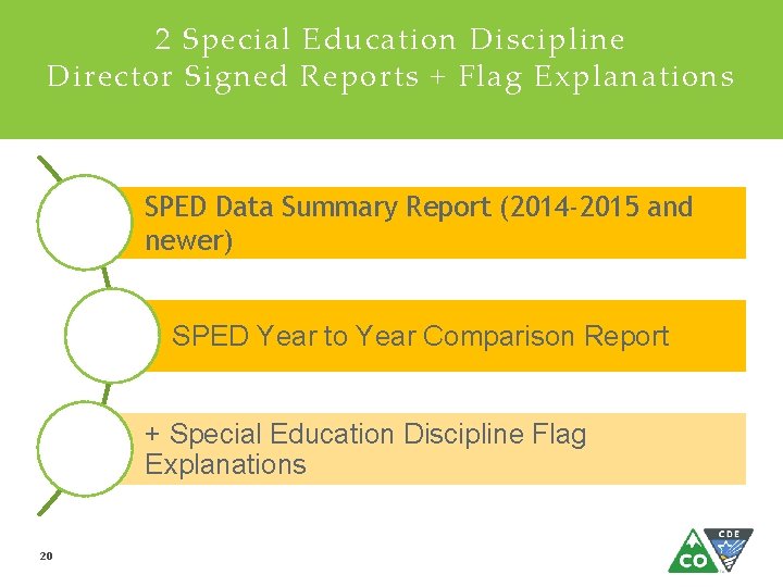 2 Special Education Discipline Director Signed Reports + Flag Explanations SPED Data Summary Report