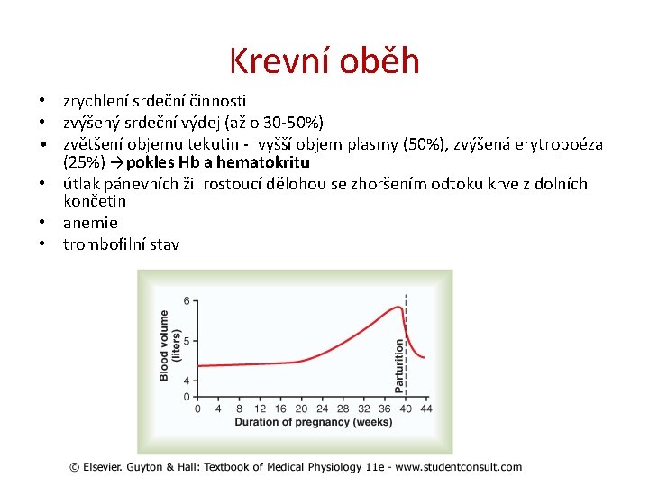 Krevní oběh • zrychlení srdeční činnosti • zvýšený srdeční výdej (až o 30 -50%)