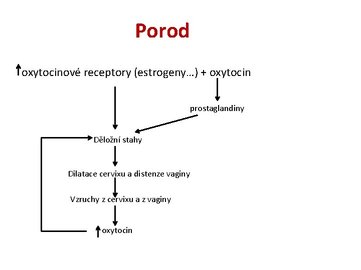 Porod oxytocinové receptory (estrogeny…) + oxytocin prostaglandiny Děložní stahy Dilatace cervixu a distenze vaginy