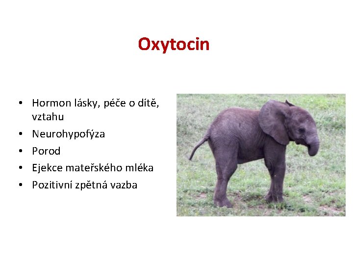 Oxytocin • Hormon lásky, péče o dítě, vztahu • Neurohypofýza • Porod • Ejekce