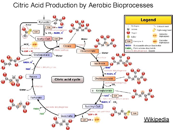 Citric Acid Production by Aerobic Bioprocesses Wikipedia 