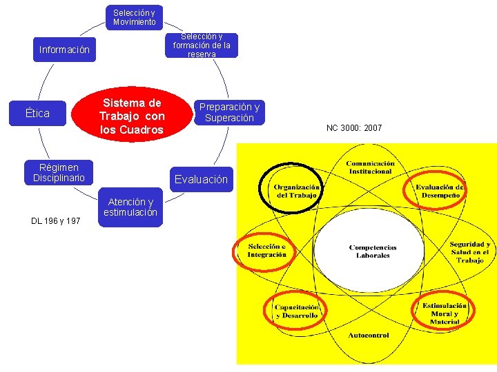 Selección y Movimiento Selección y formación de la reserva Información Ética Sistema de Trabajo