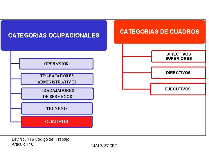 CATEGORIAS OCUPACIONALES CATEGORIAS DE CUADROS DIRECTIVOS SUPERIORES OPERARIOS DIRECTIVOS TRABAJADORES ADMINISTRATIVOS EJECUTIVOS TRABAJADORES DE