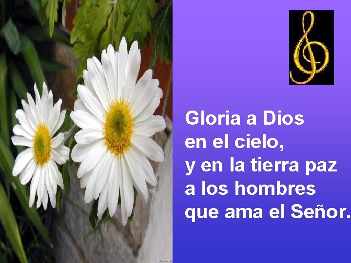 Gloria a Dios en el cielo, y en la tierra paz a los hombres