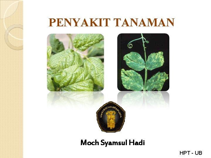 PENYAKIT TANAMAN Moch Syamsul Hadi HPT - UB 