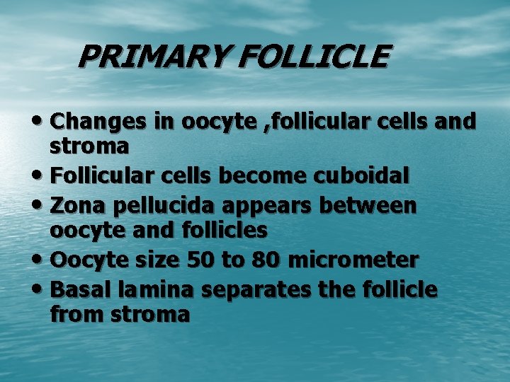 PRIMARY FOLLICLE • Changes in oocyte , follicular cells and stroma • Follicular cells