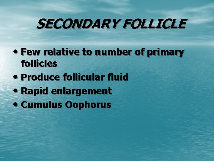 SECONDARY FOLLICLE • Few relative to number of primary follicles • Produce follicular fluid