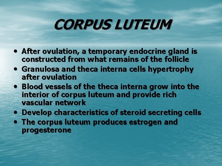 CORPUS LUTEUM • After ovulation, a temporary endocrine gland is • • constructed from