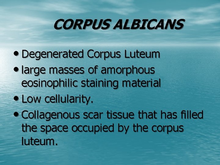 CORPUS ALBICANS • Degenerated Corpus Luteum • large masses of amorphous eosinophilic staining material