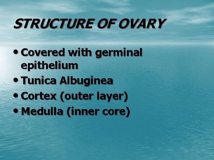 STRUCTURE OF OVARY • Covered with germinal epithelium • Tunica Albuginea • Cortex (outer