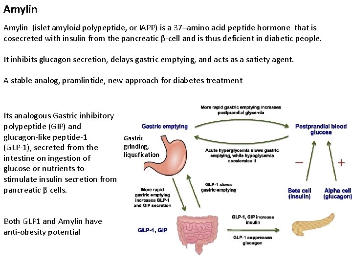 Amylin (islet amyloid polypeptide, or IAPP) is a 37–amino acid peptide hormone that is