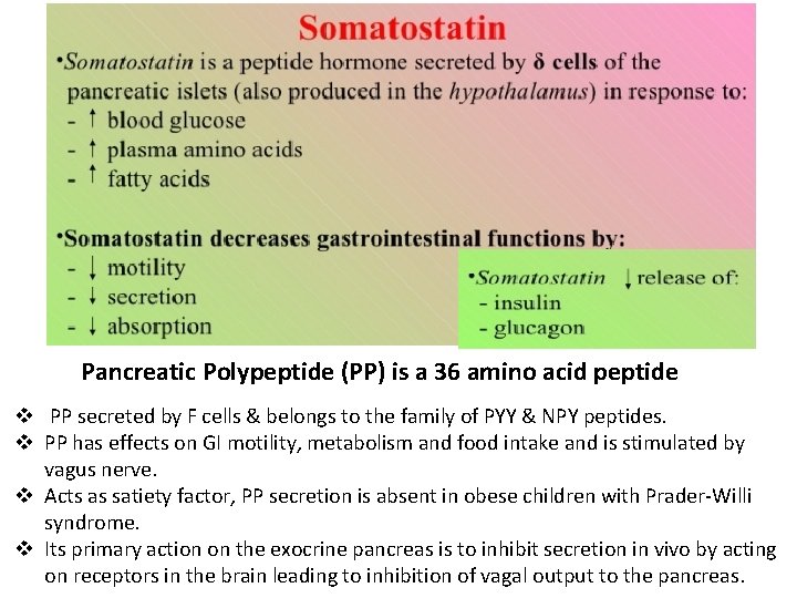 Pancreatic Polypeptide (PP) is a 36 amino acid peptide v PP secreted by F