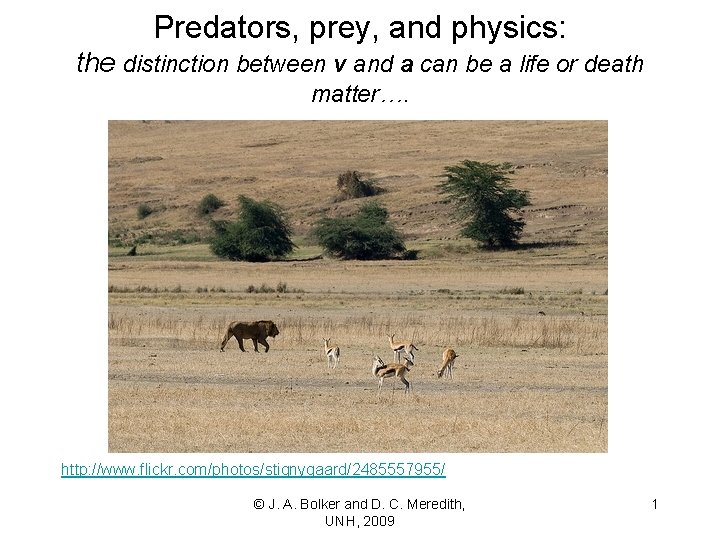 Predators, prey, and physics: the distinction between v and a can be a life