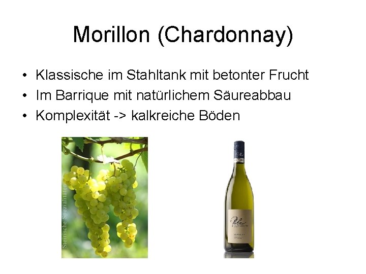 Morillon (Chardonnay) • Klassische im Stahltank mit betonter Frucht • Im Barrique mit natürlichem