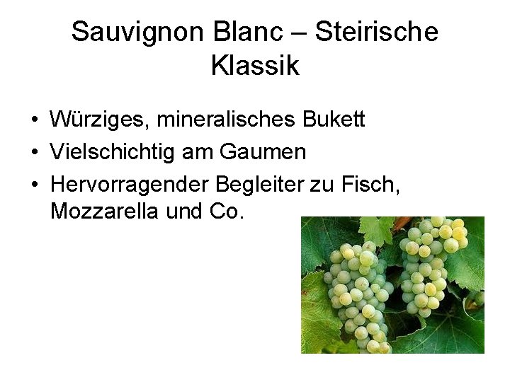 Sauvignon Blanc – Steirische Klassik • Würziges, mineralisches Bukett • Vielschichtig am Gaumen •