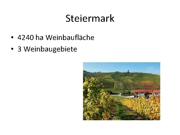 Steiermark • 4240 ha Weinbaufläche • 3 Weinbaugebiete 