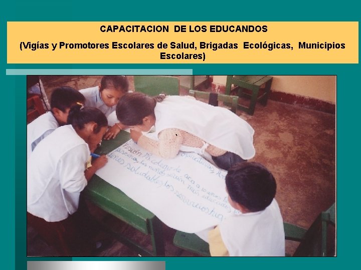 CAPACITACION DE LOS EDUCANDOS (Vigías y Promotores Escolares de Salud, Brigadas Ecológicas, Municipios Escolares)
